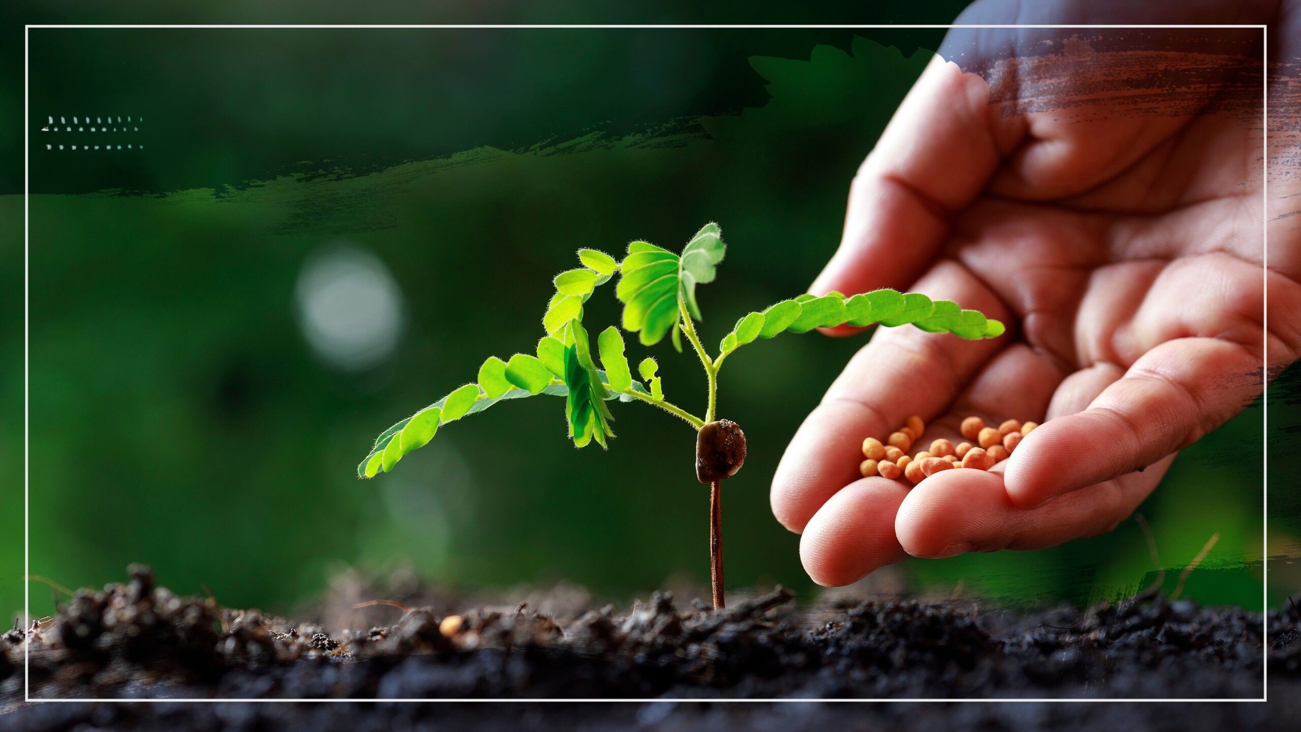 تعبئة أسمدة