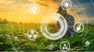 تعبئة مبيدات